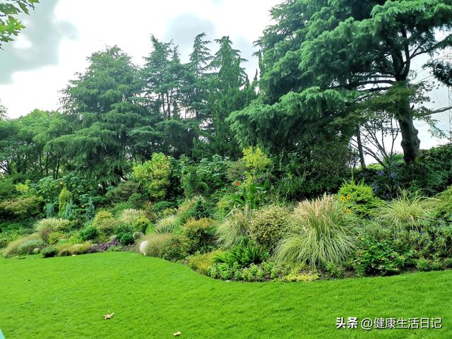 上海最值得徒步的路线，徒步上海普陀区甘泉公园