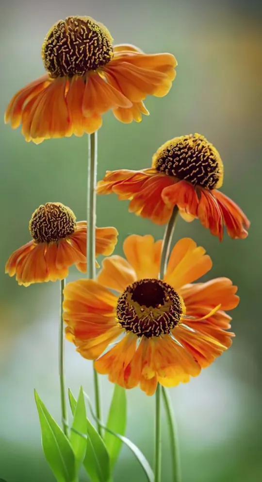 精选80条名人名言，值得一看的名人名言录