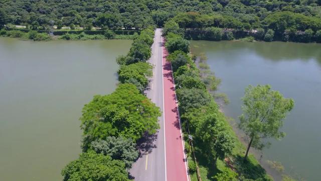 广州绿道田园景点，博罗这些高颜值绿道等你来打卡