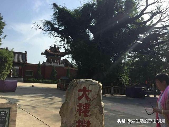 洪洞县大槐树景区，洪洞大槐树旅游攻略