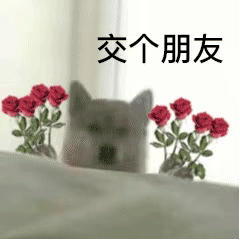 可爱小狗表情包，可爱表情包大全狗子