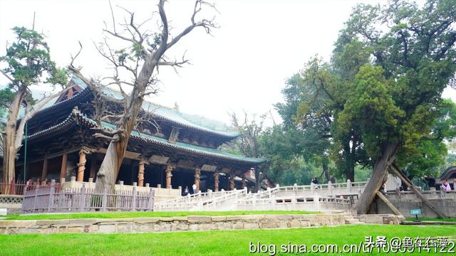 介绍一下太原晋祠，21晋行太原