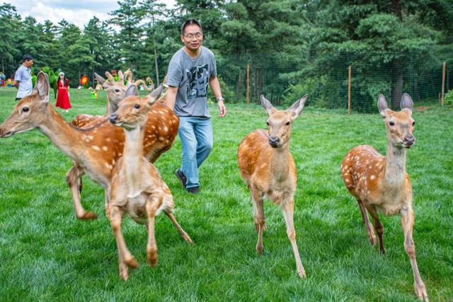 昆明周边一日游，昆明旅游景点半日游推荐（本地人告诉你这些地方值得去）