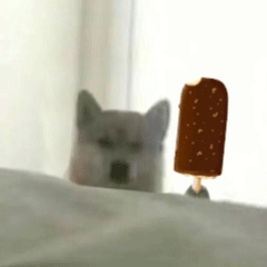 可爱小狗表情包，可爱表情包大全狗子