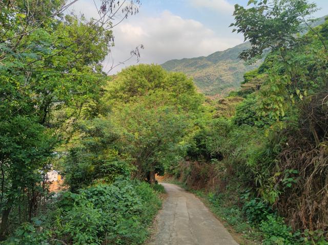 免費(fèi)的鄉(xiāng)村小眾露營(yíng)地，一個(gè)小而美的免費(fèi)露營(yíng)地