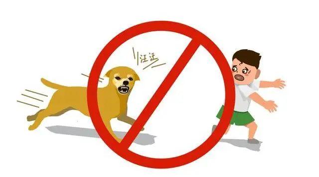 如果您决定养犬，新养犬条例