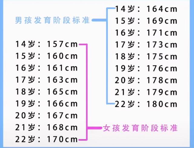 女生14岁标准身高，学生身高标准表