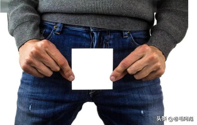 猫咪进化成猫颈鹿，雄性动物有多拼