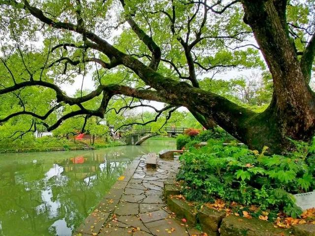 南充旅游景点排行，南充必去十大景点