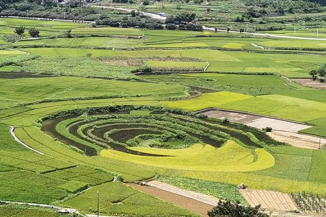 万峰林风景区图片，万峰林  游记（“万峰林，真的没有滤镜！”）