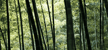 广州一日游火炉山，广州出发-肇庆2天游