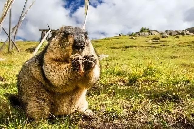 适合情侣旅游十大景点，盘点情侣必去的10个旅游目的地
