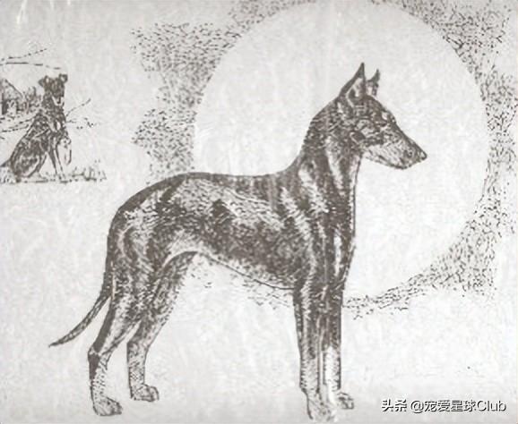 曼彻斯特德比是什么意思，回顾英超时代经典的“曼彻斯特德比”