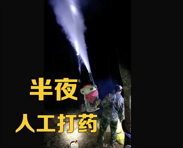 虫害防治新窍门，叶子油绿没有黑点了