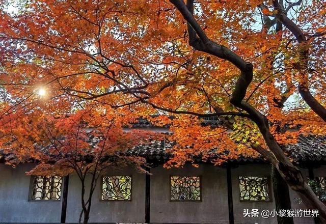 苏州春节免费景点，春节苏州免费旅游景点（苏州73家国有景区免费开放）