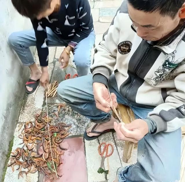 蜈蚣的天敌是什么，大蜈蚣的天敌有哪些（难道蜈蚣是蛇的天敌吗）