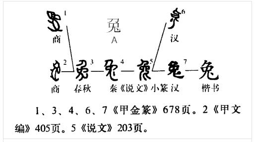 兔字的演变过程图，兔字的来源及演变过程（为什么汉字“兔”这样写）
