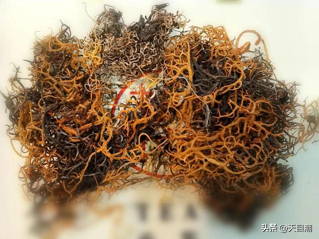 天下有道丘不与易也翻译以及赏析，说文解字多索与友小坐