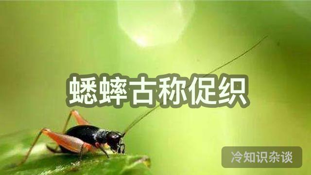 古代雅称全部，古代很多东西的雅称真好听