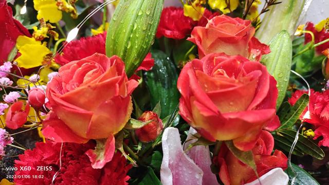 好的养老院有那些，目前有什么好的养老院