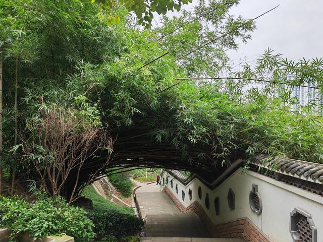 重庆矿山公园旅游攻略，废弃矿山蝶变生态公园