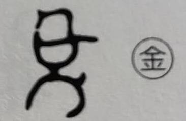 兔字的演变过程图，兔字的来源及演变过程（为什么汉字“兔”这样写）