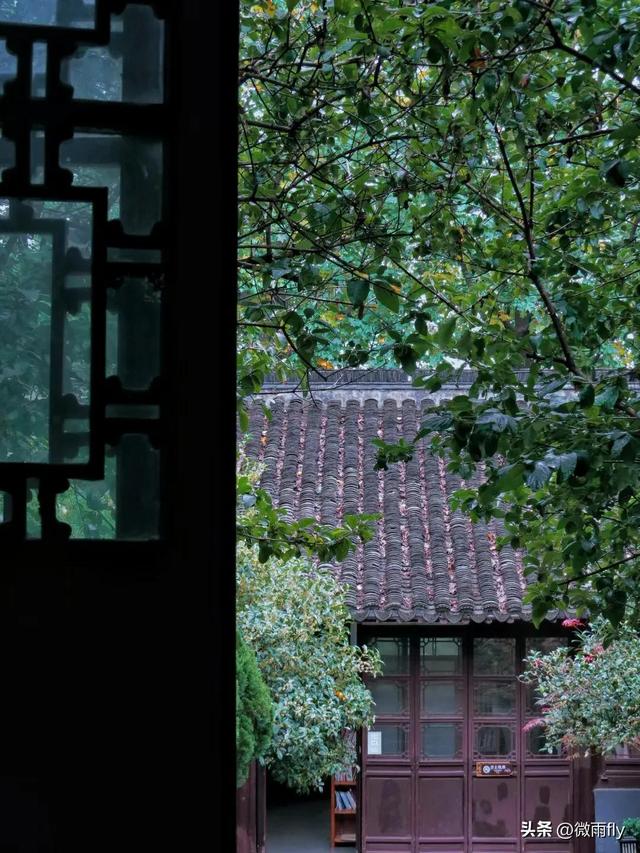 南京初秋7个赏桂花打卡地，南京赏桂花