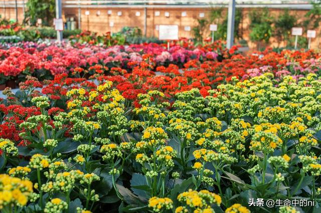 开封必游景区，这八处经典必去的地方