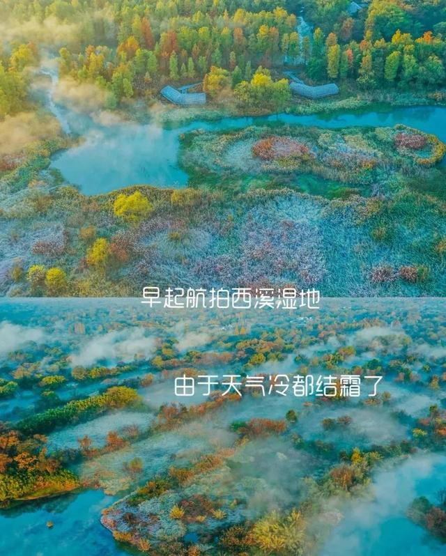 破冰之旅杭州西溪湿地，杭州-西溪国家湿地公园之旅
