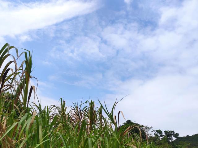 深圳梅沙尖有什么景点，登顶穿越-亚婆地-梅沙尖-山海大观