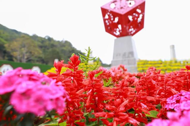 观音山春季游玩攻略，解锁春日的“全糖”秘密