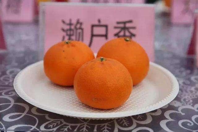 橘子的品种有哪些，柑橘品种有哪些