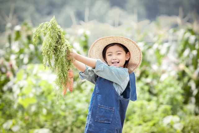 家中有四喜征兆，好事接踵至”家里出现4种动物有好事