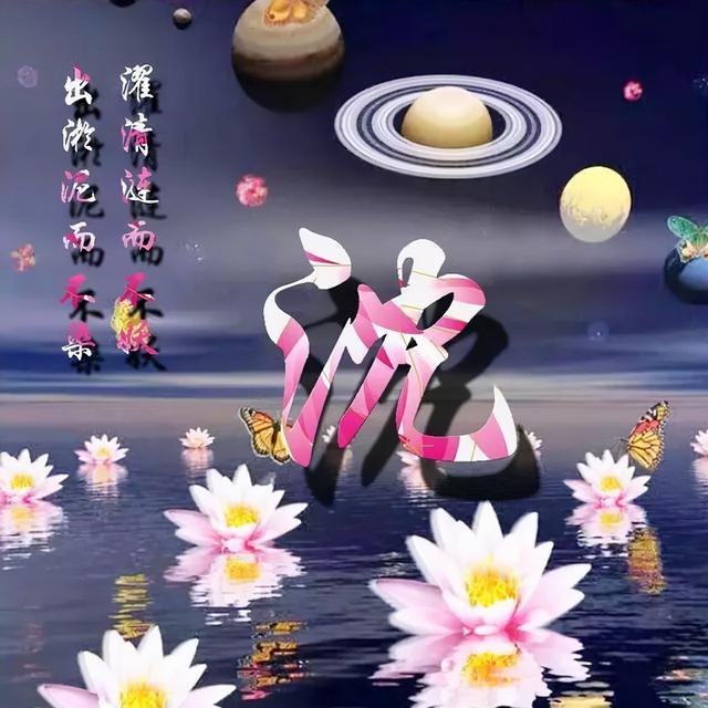 荷花头像图片大全，荷花头像高清图