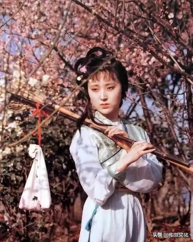 红楼梦林黛玉葬花的原因，刘姥姥揭开林黛玉死因