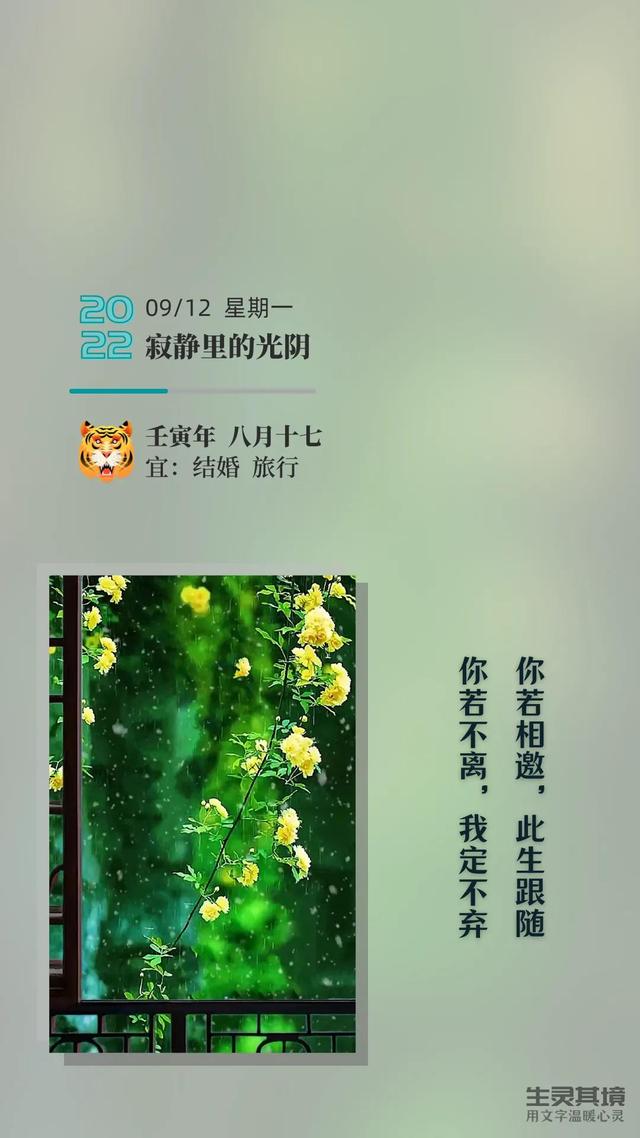 你若不离我定不弃，此生有你你若不离我定不弃的句子（你若不离，我定不弃）