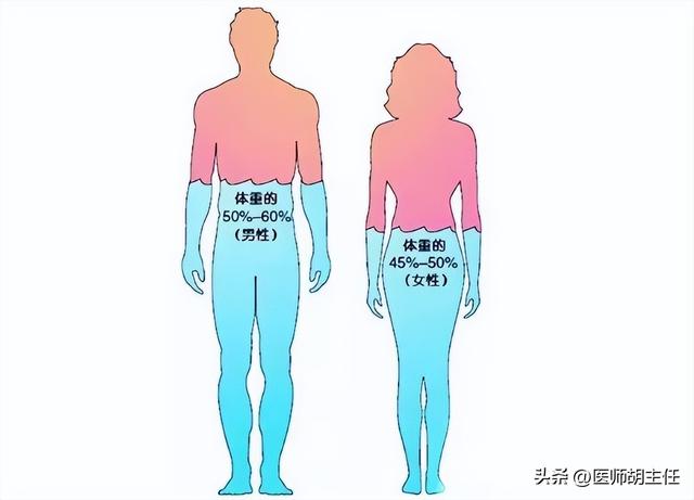 人为什么会出汗，为什么人非常能出汗是什么原因（人为什么会出汗）