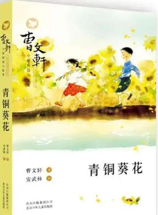 青铜葵花作者简介，青铜葵花读后感