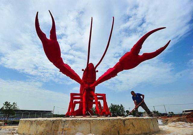 牛寿命一般多久，地球上寿命最长的动物