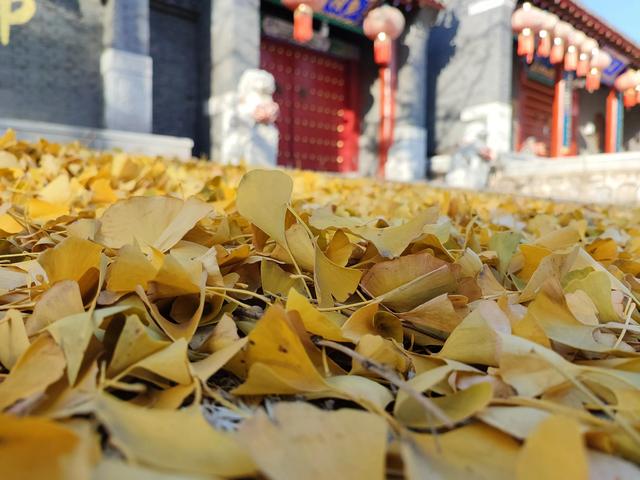 东陵区郊野公园，沈阳东陵郊野公园的美景真好