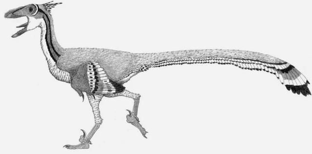 曾经统治地球的霸主恐龙大灭绝，统治了地球1亿7千万年