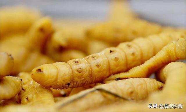 盘点童年玩过的十种昆虫，童年玩过的10种昆虫