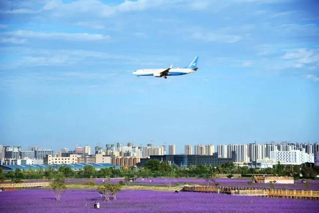 兰州新区房价最新趋势，全国房市低迷兰州新区却逆势增长