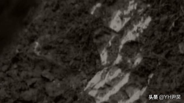 清代古墓发现奇怪女尸，历经百年五官却清晰可见