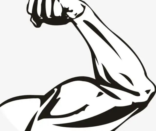 比利时蓝牛长什么样，人类干预自然繁育过程