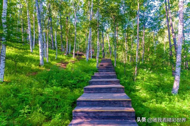 内蒙古旅游景点大全，内蒙古必看景点（盘点内蒙古26个最好玩的景区景点）