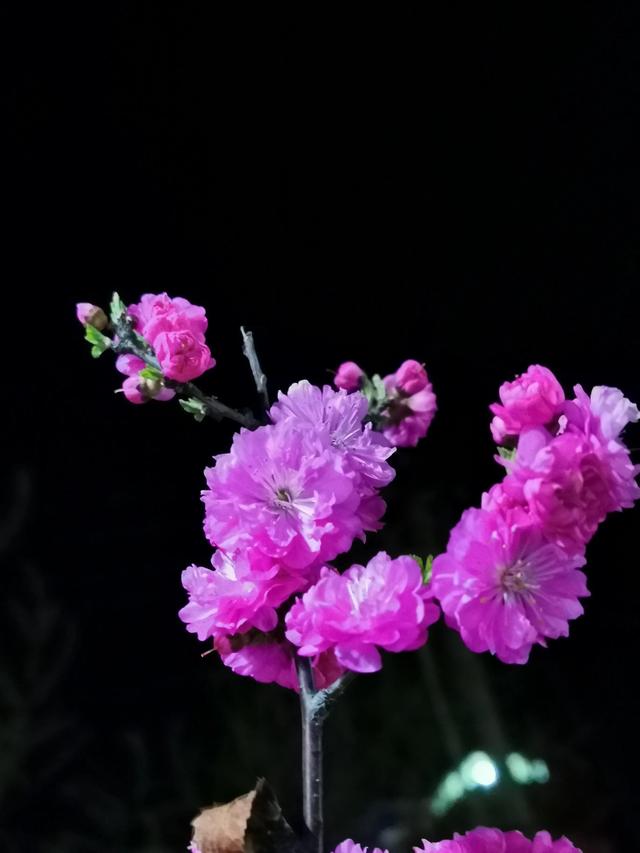 兴国县方言大全，围场方言大全一百三十三