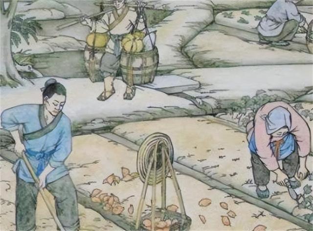 西汉的王莽简介，为什么都说西汉王莽是个穿越者