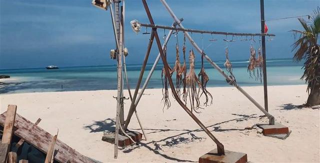 南海之梦号邮轮可以搭载多少游客，南海之梦号邮轮2022年团期及价格表