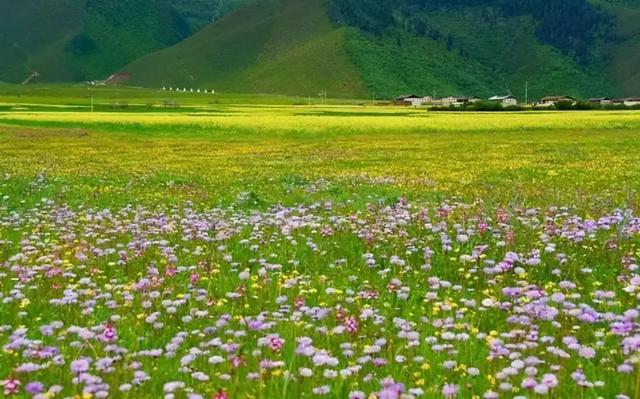 夏天去哪里旅游，夏天适合去哪里旅游避暑的地方（这些消暑纳凉地请收藏好）